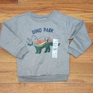 Garanimals Gray Dino Park Kids Sweatshirt Sz 3T